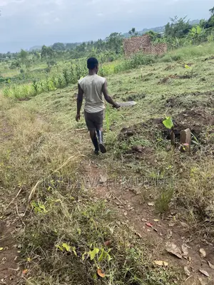 50x50ft Plot for Sale in Kalagi - UGX 7M