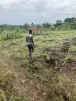 50x50ft Plot for Sale in Kalagi - UGX 7M - 2