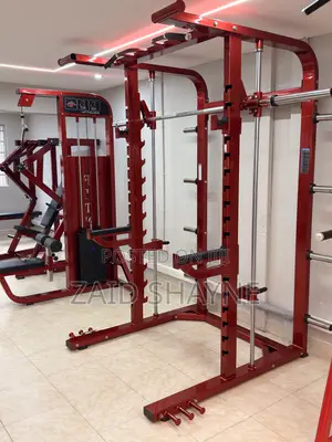 Life Fitness Smith Squat Rack