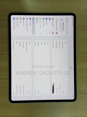 Apple iPad Pro 13" (2024) M4 256GB Gray