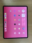 Apple iPad Pro 13" (2024) M4 256GB Gray - 2