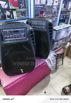 Ailipu SP-9039AD Professional Sound Speaker System