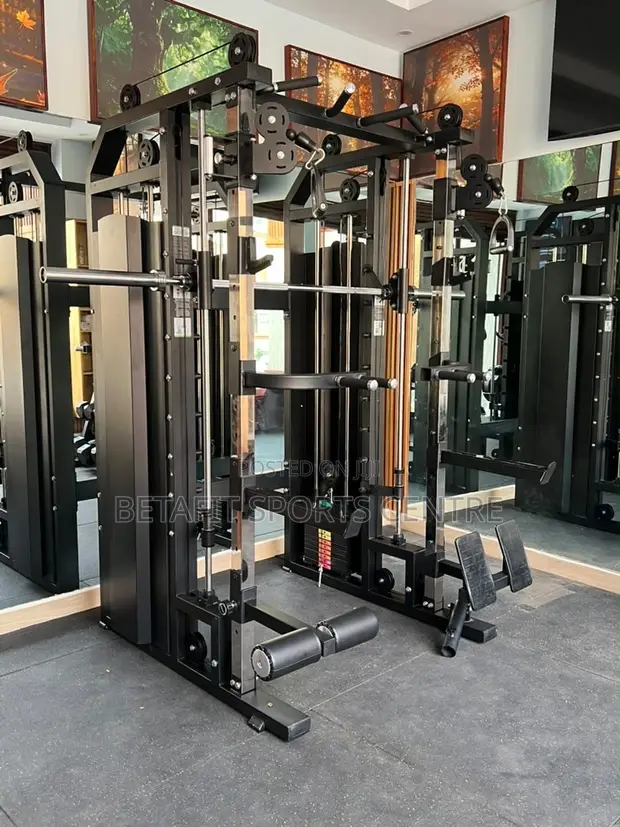 Brand New Multi-Functional Smith Machine - 1
