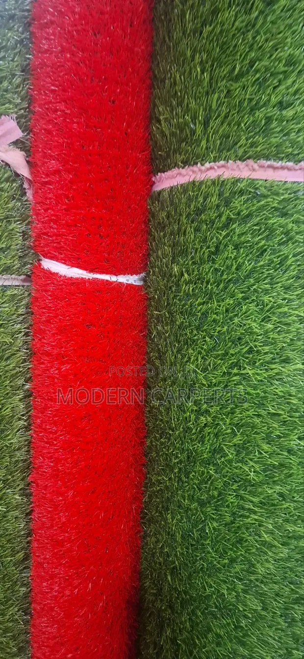 Hertz Artificial Turf - 1