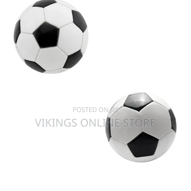 Classic Black-and-White Panel Soccer Ball - 1