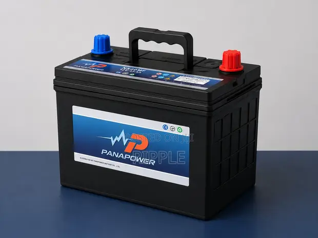 Panapower NS60MF 45Ah Maintenance-Free Car Battery 12V - 1