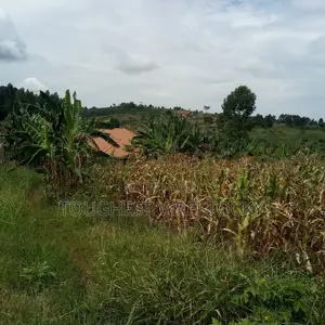 Plot for Sale in Kitigoma, Buikwe District