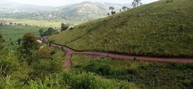 2 Acres Land for Sale, Mbarara City - 1