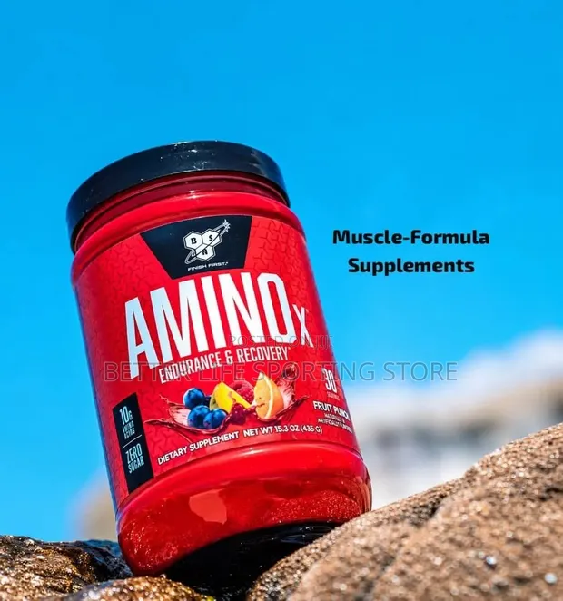 BSN Amino X Endurance and Recovery Supplement - 1
