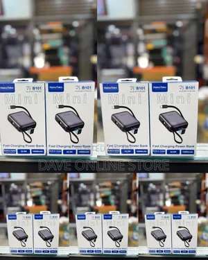 Haino Teko B101 Mini 10000mAh Fast Charging Power Bank