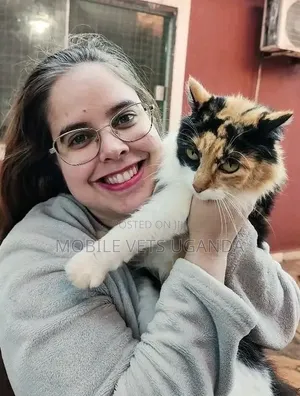 Purebred Female Savannah Kitten (3-6 Months)