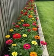Compound Designing & Landscaping Services - 1