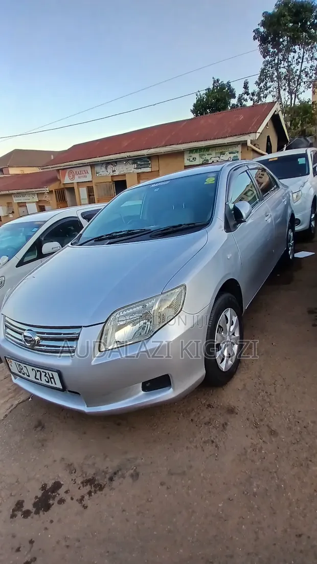 Toyota Axio 2007 Silver - 1