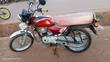 Bajaj Boxer 100 2023 Red - 3