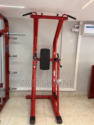 Brand New Life Fitness Commercial Pull Up Machine