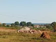 Land for Sale in Nkumba, Katabi - 2