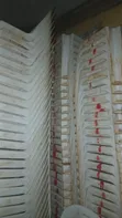 CENTURY Plastic Chairs (Used) - 3