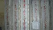 CENTURY Plastic Chairs (Used) - 5