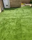 Home Grass Per Square Meter - 2