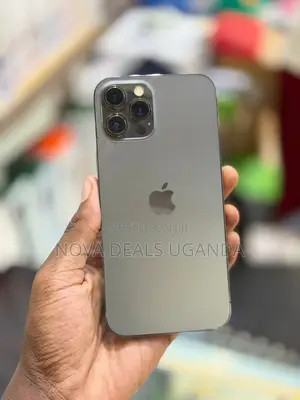Apple iPhone 12 Pro Max 256GB Gray