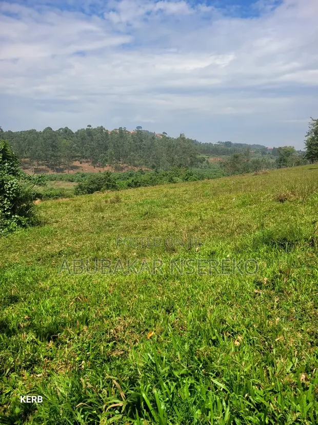 Massive Land for Sale in Nakaseke, Nakasongola, Masaka - 1