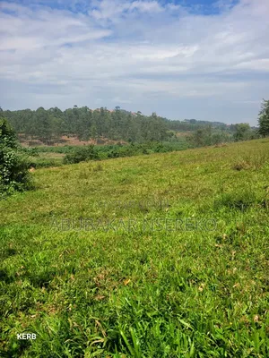 Massive Land for Sale in Nakaseke, Nakasongola, Masaka