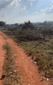 Massive Land for Sale in Nakaseke, Nakasongola, Masaka - 2