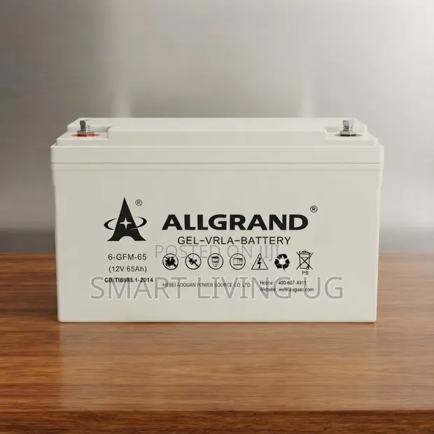 Allgrand 12V 65Ah Sealed Gel Battery - 1