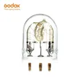 Godox Flash Tube Bare Bulb for AD600 Series - 2