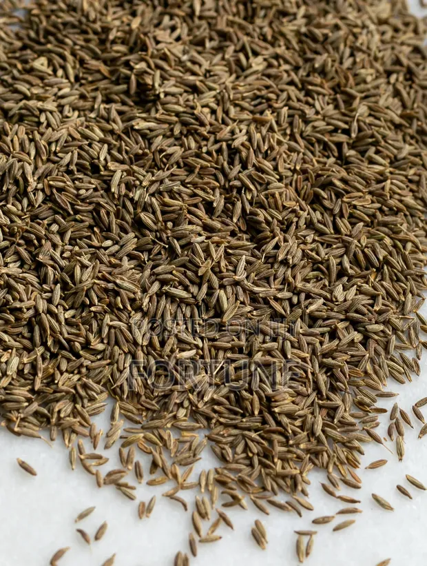 Cumin Seeds - 500g - 1