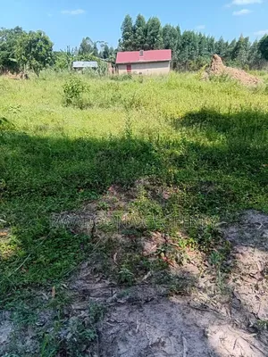 Registered 3 Acre Farmland with Title