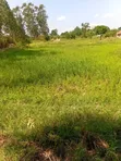 Registered 3 Acre Farmland with Title - 2