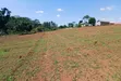Prime Plots for Sale at Mpigi-Mpambire Elite Land Estate - 3