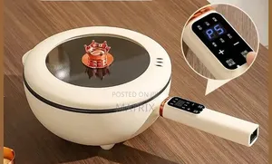 Electric Food and Soup Steamer Pot - 2 Layers