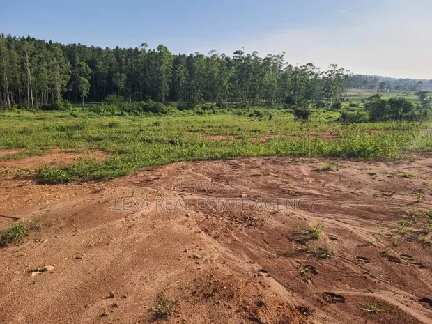 100x100 Plots for Sale in Kalagala, Gayaza Road - 1