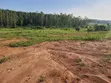 100x100 Plots for Sale in Kalagala, Gayaza Road - 1