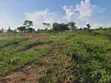 100x100 Plots for Sale in Kalagala, Gayaza Road - 2