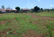 Prime Plots for Sale in Nakirebe Town Elite Land Estate, Masaka Road - 3