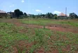 Prime Plots for Sale in Nakirebe Town Elite Land Estate, Masaka Road - 4