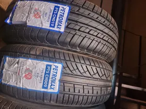 195/65R15 PTS 91H Tires