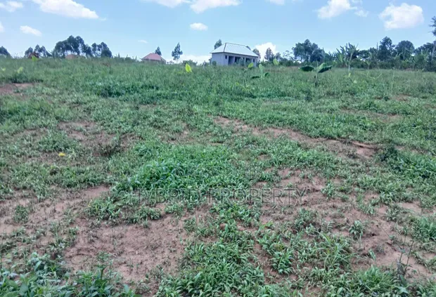 Prime Plots for Sale at Nakirebe~Kyeyitabya Land Estate, Masaka Road - 1