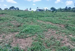 Prime Plots for Sale at Nakirebe~Kyeyitabya Land Estate, Masaka Road