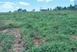 Prime Plots for Sale at Nakirebe~Kyeyitabya Land Estate, Masaka Road - 2
