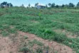 Prime Plots for Sale at Nakirebe~Kyeyitabya Land Estate, Masaka Road - 3