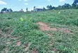 Prime Plots for Sale at Nakirebe~Kyeyitabya Land Estate, Masaka Road - 4