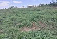 Prime Plots for Sale at Nakirebe~Kyeyitabya Land Estate, Masaka Road - 5