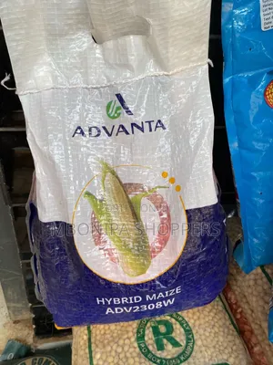 Advanta Hybrid Maize ADV 2308W