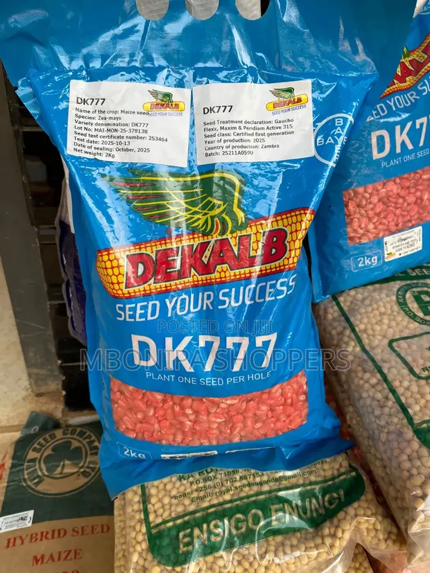 Dekalb DK 777 Hybrid White Maize Seeds - 1
