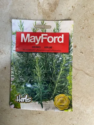 Hybrid Rosemary Seeds