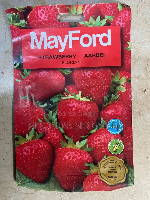 Mayford Strawberry 'Florian' Seeds - 1